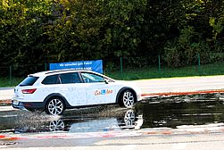 Auf der Schleuderplatte: schaut aus wie ein Rechtswalzer.