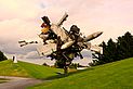 Skulptur von Nancy Rubins, die komplett aus Flugzeug-Schrott-Teilen hergestellt ist. Der Name der Skulptur &quot;Airplane Parts &amp; Hills&quot;.